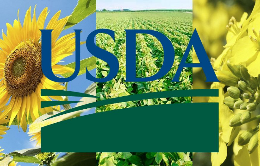 USDA WASDE (вересень 2025): глобальне зерно й кукурудза