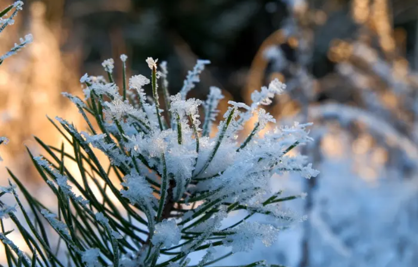 Україну накрили морози й заметілі перші загиблі та екстрена допомога на конях